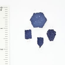 ST-313