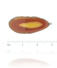 Brown Sliced Agate - Black Line Finish