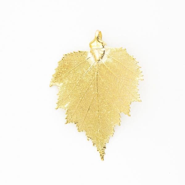 Birch Leaf