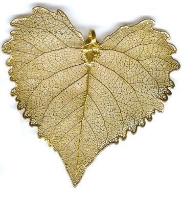 Filigree Cottonwood X-Large