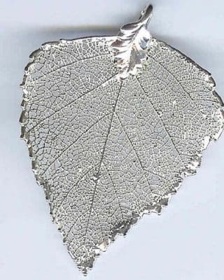 Birch Filigree Silver LG