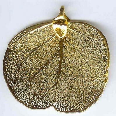 Eucalpytus Dollar Gold Filigree Medium