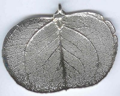 Eucalyptus Dollar Silver Filigree X-Large