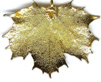 Sugar Maple Gold Filigree X-Large