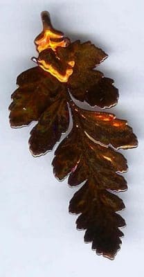 Fern Iridescent Medium