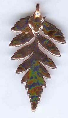 Fern Bright Copper Medium