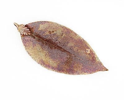 Bay Leaf Raibow IR X-Jumbo