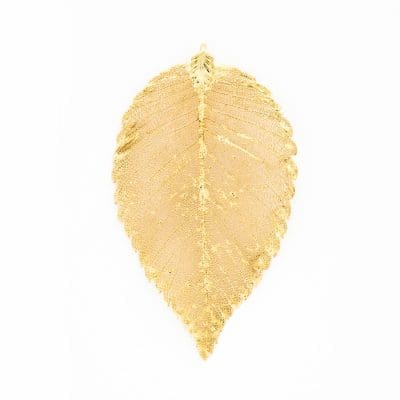 American Elm Filigree Gold