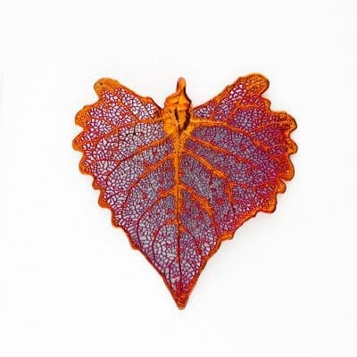 Cottonwood Filigree Iridescent