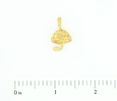 Charm-1897