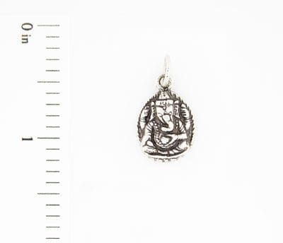 Charm - IMG_7875