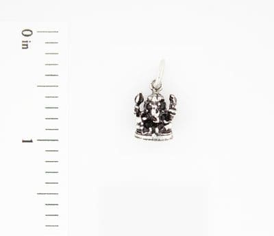 Charm - IMG_7876
