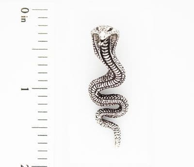 Charm - IMG_7877